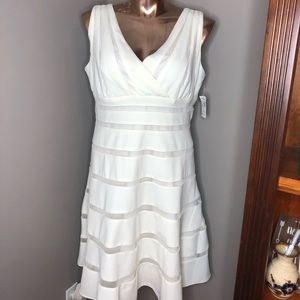 Ivory Striped A-line Dress with Zipper in the back